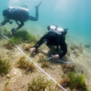 scientificdivecentre