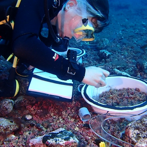 JoãoSilva_rohdoliths