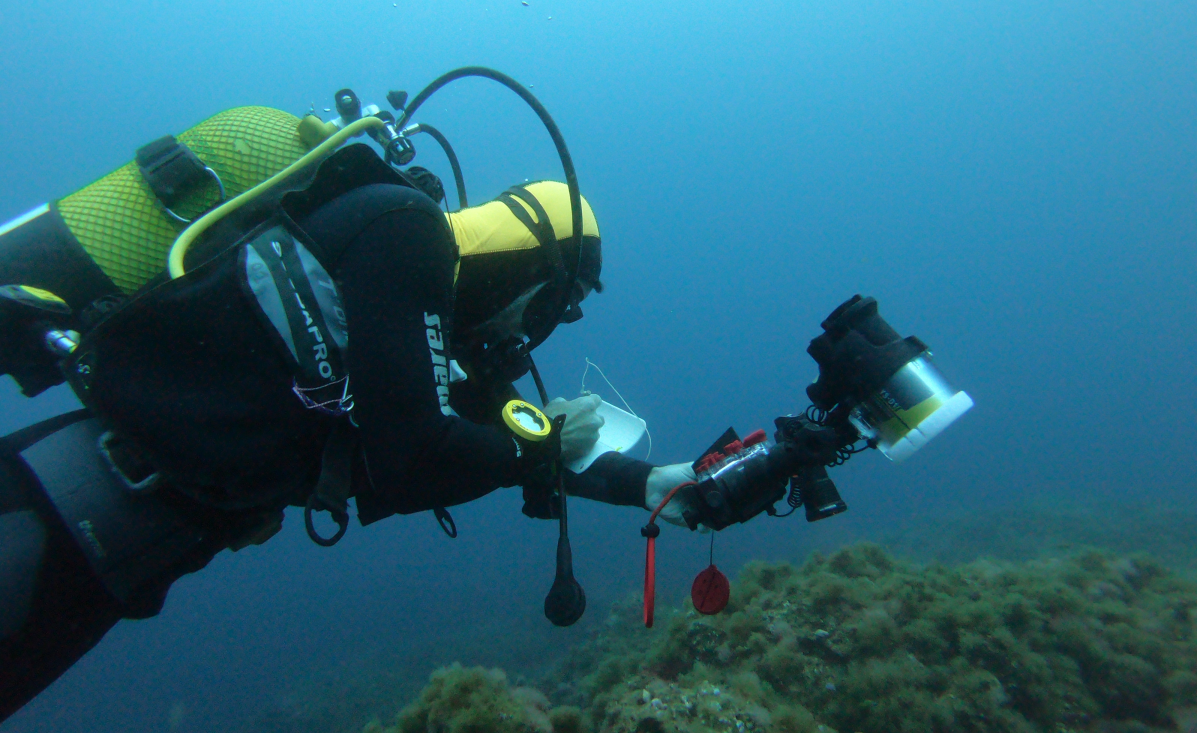 Dive Center (David Abecasis)