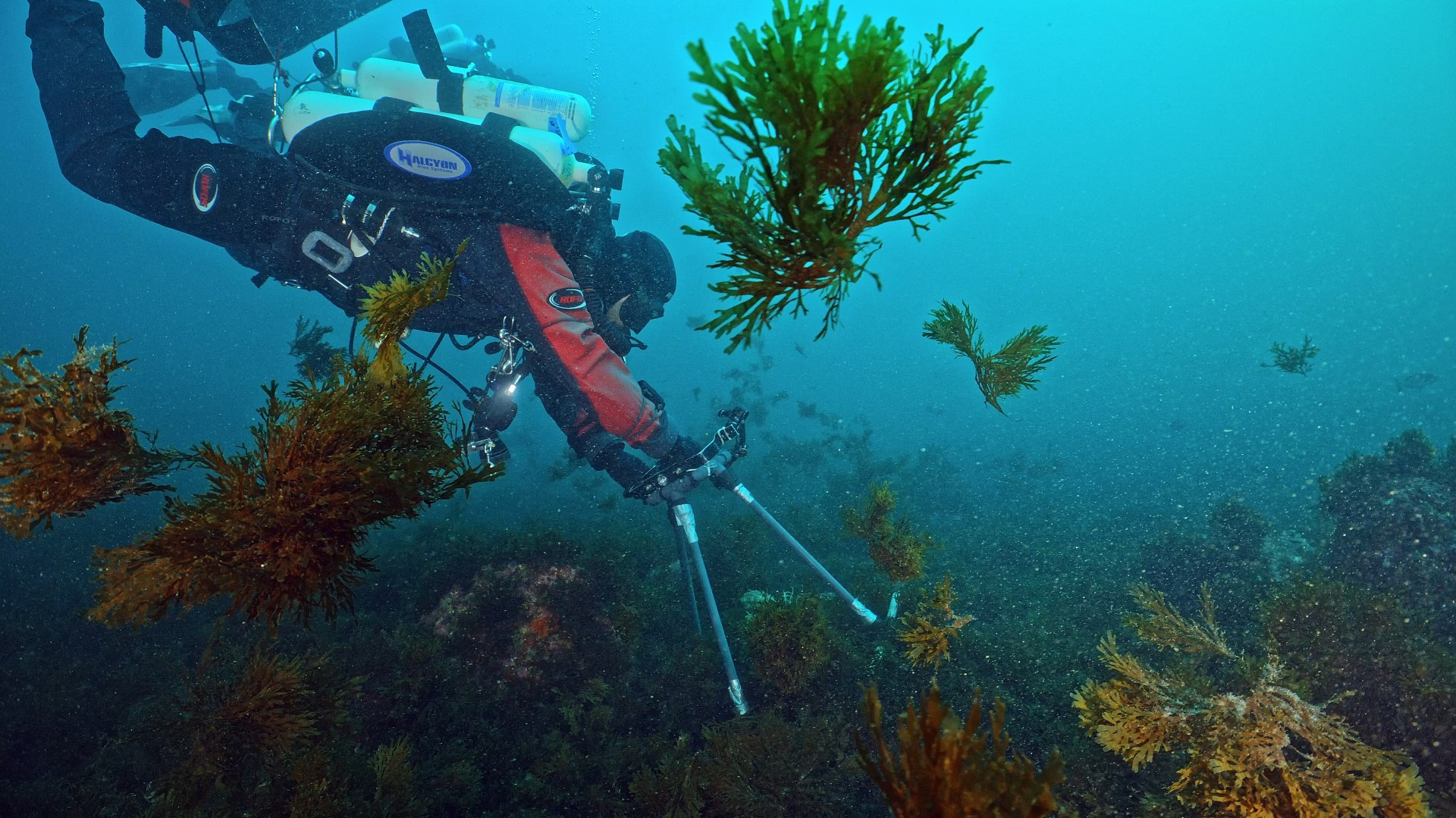 Divers at work underwater