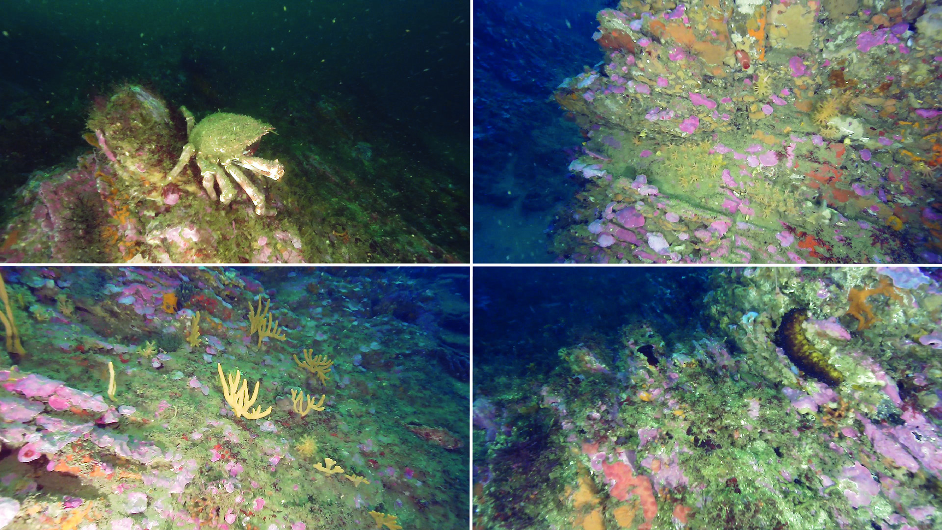 Generic representation of Researchers return the fieldwork in the Parque Natural Alentejano e Costa Vicentina