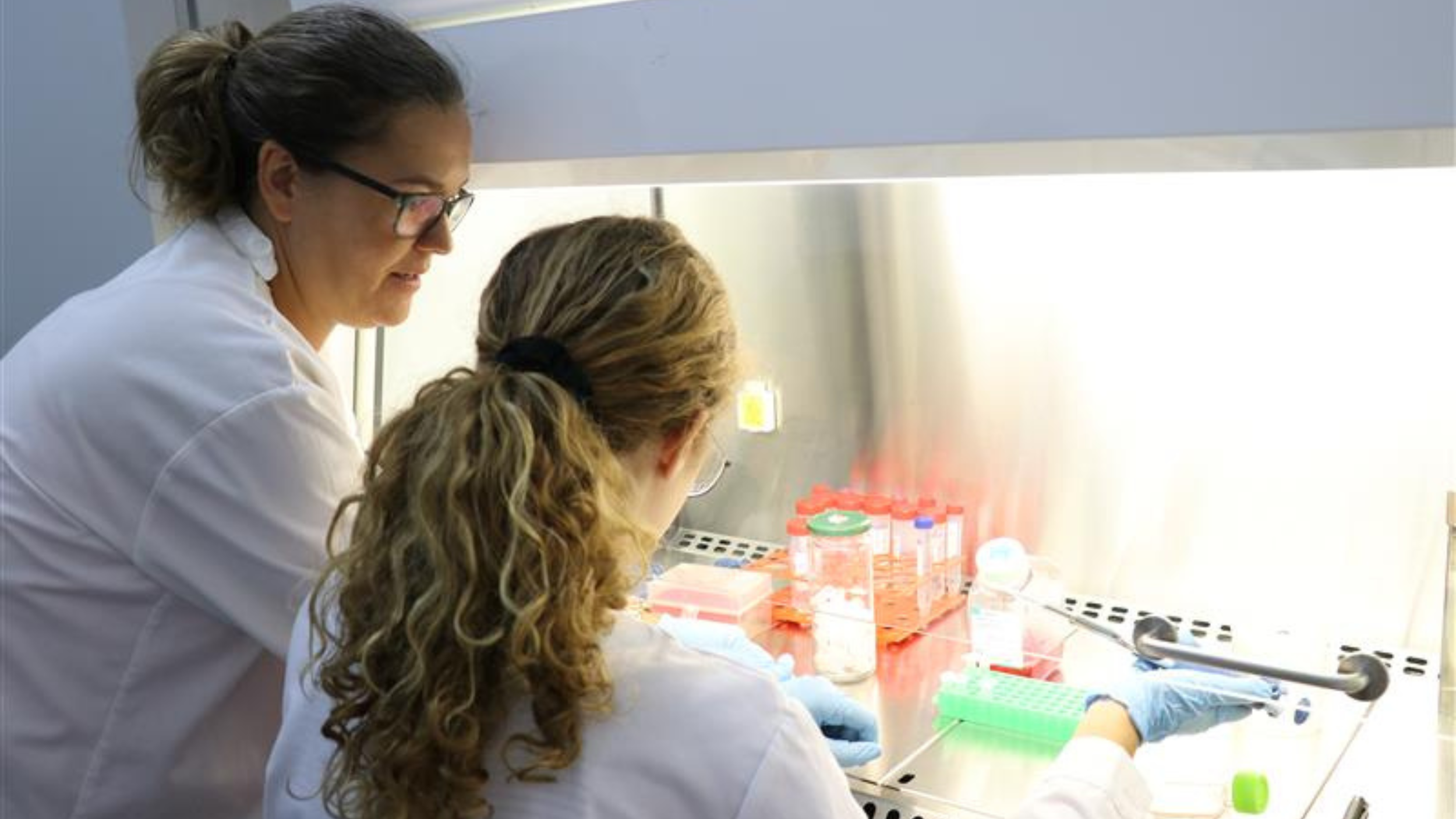 estagios laboratorio