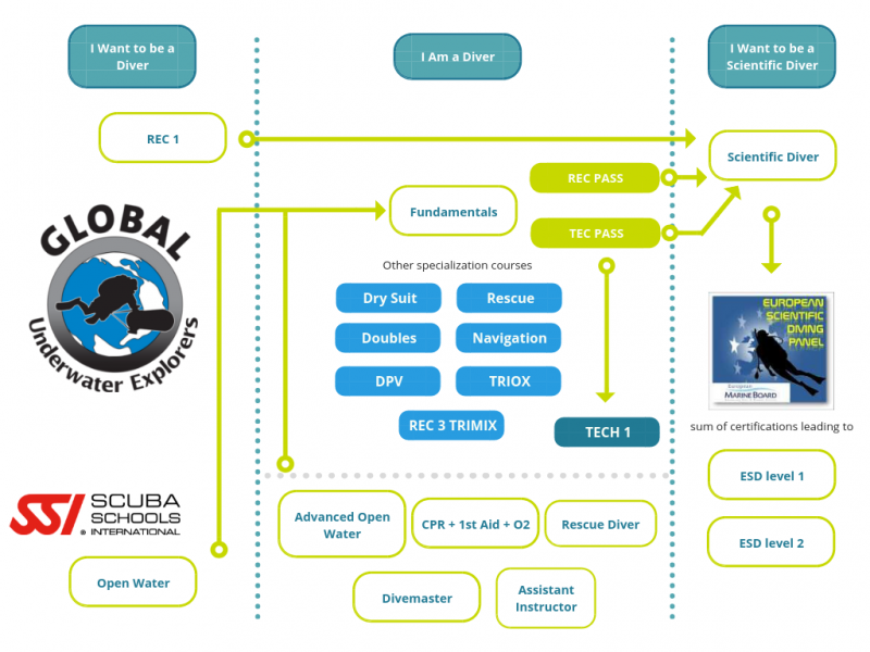 want to be a diver scheme